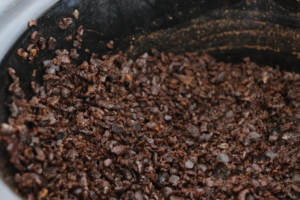 "Caveman Comics and Nature Ink Making" with Roberta Ziemba